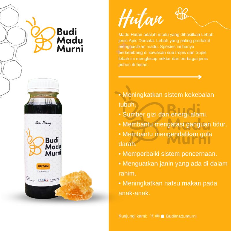 

MADU HUTAN ASLI MURNI MULTIFLORA SUPER PREMIUM 100% Alami Pure Natural Raw Honey