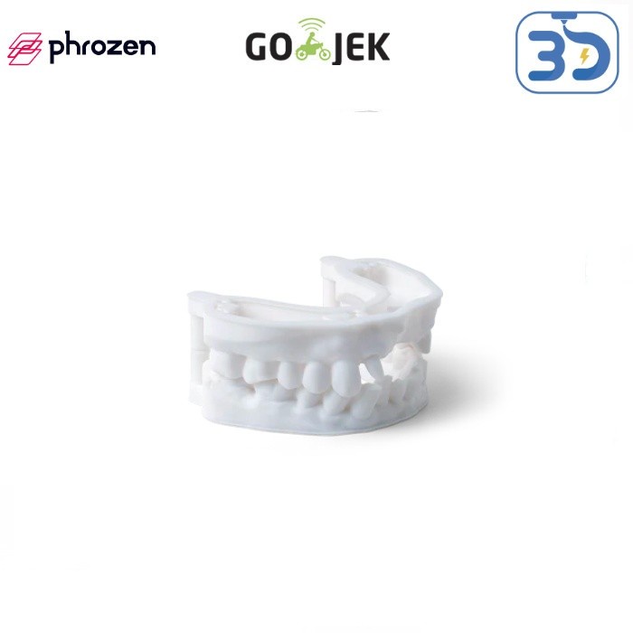 Original Phrozen Resin Dental Study Model for LCD DLP 3D Printer