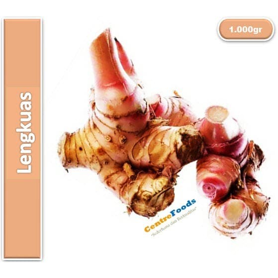 

Lengkuas - Laos Fresh | 1.000gr [ Harga Per KG ]