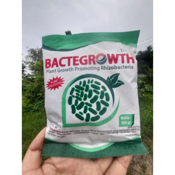 PGPR Bactegrowth Bakterisida Rhizobacteria Rizo bakteria Pembenah Tanah 100gr PGPR