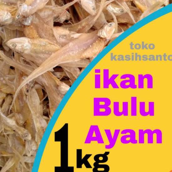 

☋ Ikan asin bulu ayam super-1kg ♕