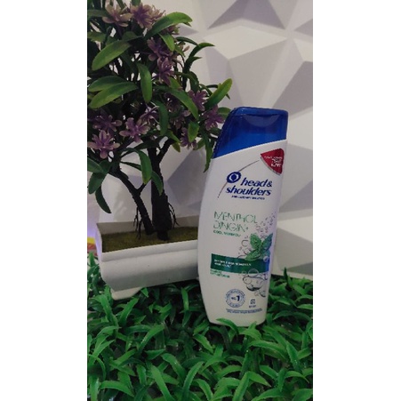 head&shoulders100ml/70ml
