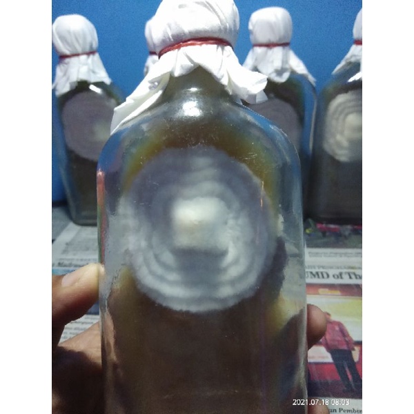 

FO Jamur Tiram Putih