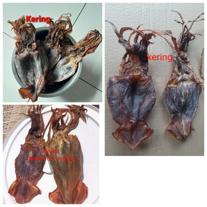 

Juhi cumi kering tawar 1kg/ super no 1