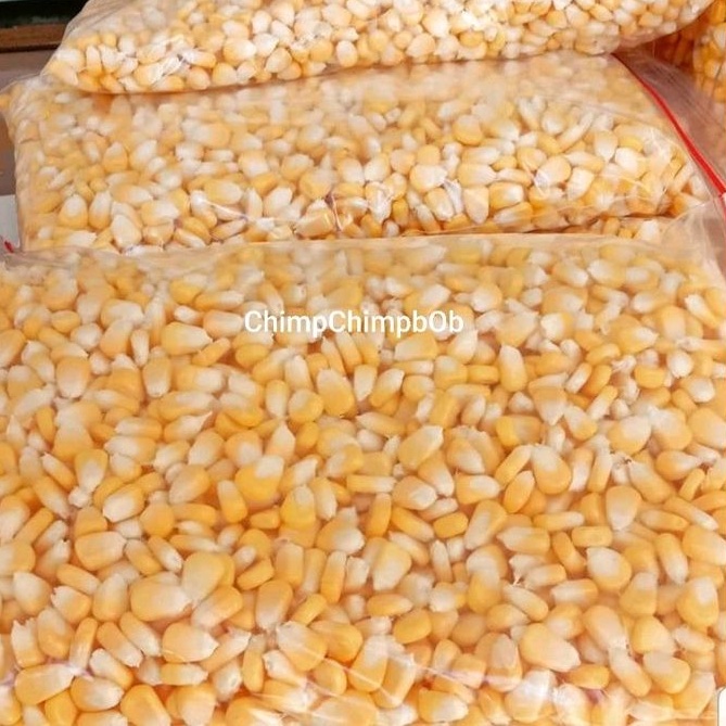 

JAGUNG MANIS PIPIL SEGAR 500 GRAM / FRESH SWEET CORN CERNEL