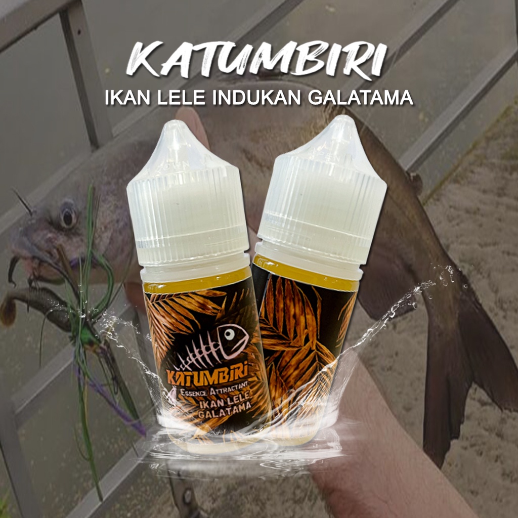 Essen Ikan Lele Indukan Galatama Anti Boncos Trabas Segala Medan, Essen Katumbiri Ikan Lele