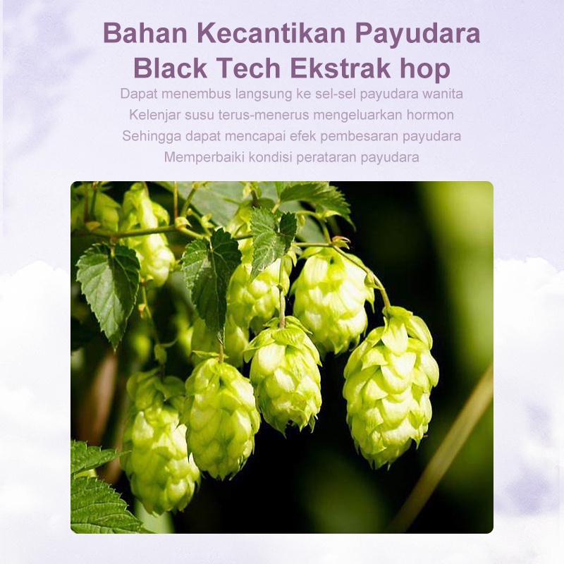 ORIGINAL Breast Care Serum Obat Pengencang Payudara Cream Set BPOM 100gr Bust Serum &amp; Cream pembesar payudara super cepat permanen Female Breast Enlarger