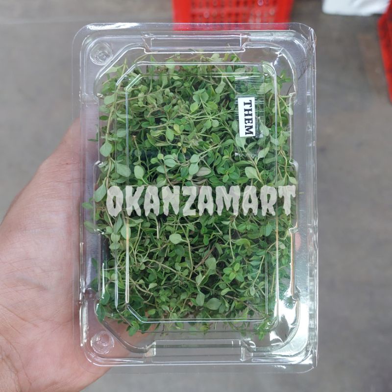 

Daun Thyme Fresh 1pack