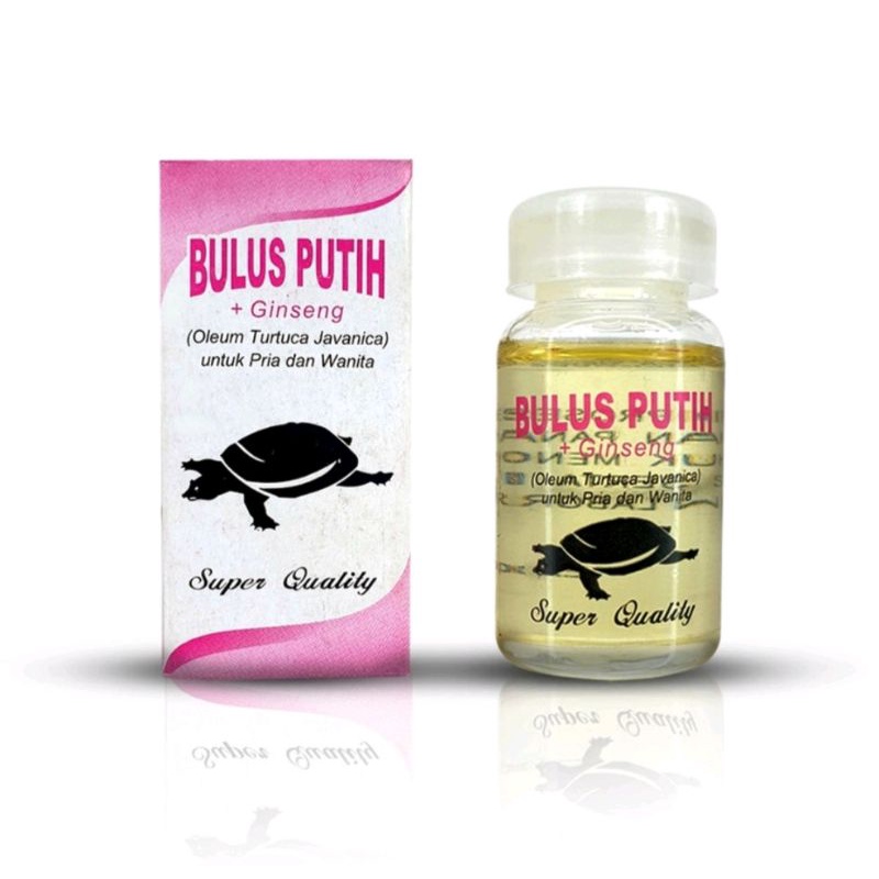 MINYAK BULUS ORIGINAL / MINYAK BULUS PUTIH ORIGINAL