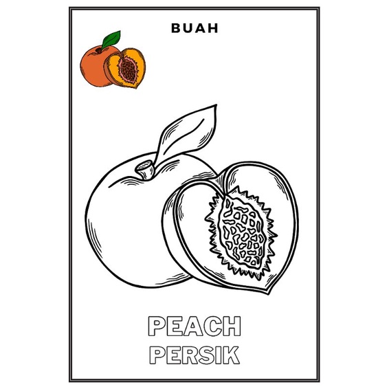 

Gambar mewarnai / Sketsa lukis / drawing sketch seri buah - buahan anak TK Paud SD