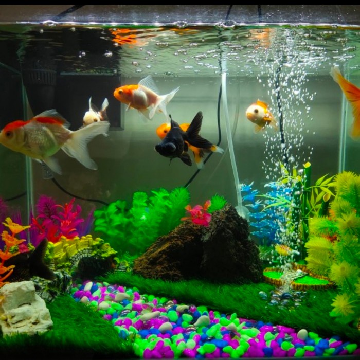Rumput sintetis aquarium Ukuran 50x100 cm dekorasi aquarium aquascape
