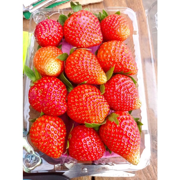 

Buah strawberry 250 gr