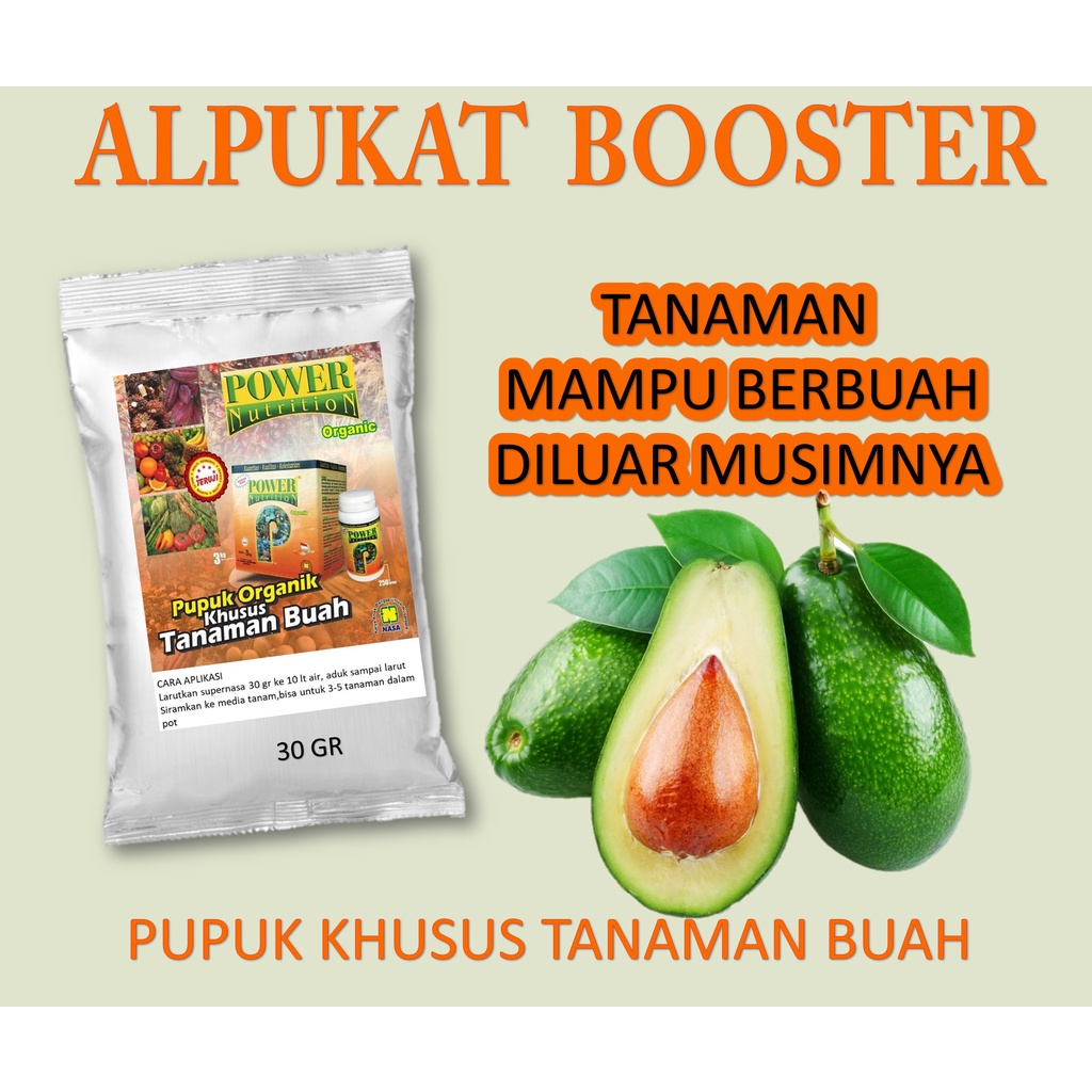 Pupuk alpukat berbuah lebat pupuk perangsang bunga penguat bunga dan buah alpukat booster alpukat