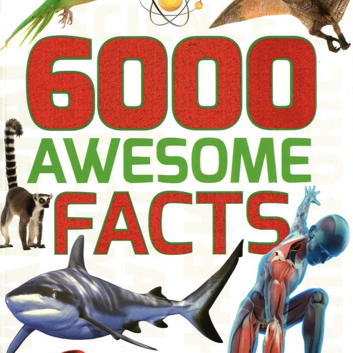 6000 Awesome Facts Miles Kelly Encyclopedia Ensiklopedi Ensiklopedia