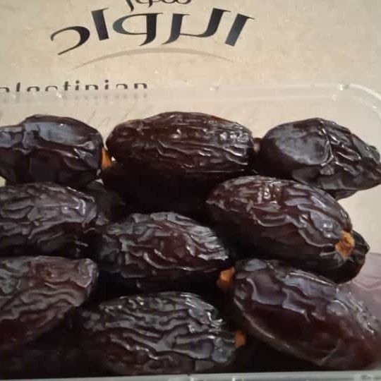 

KURMA MEDJOL MEDJOOL ASLI PALESTINA +- 250 GR