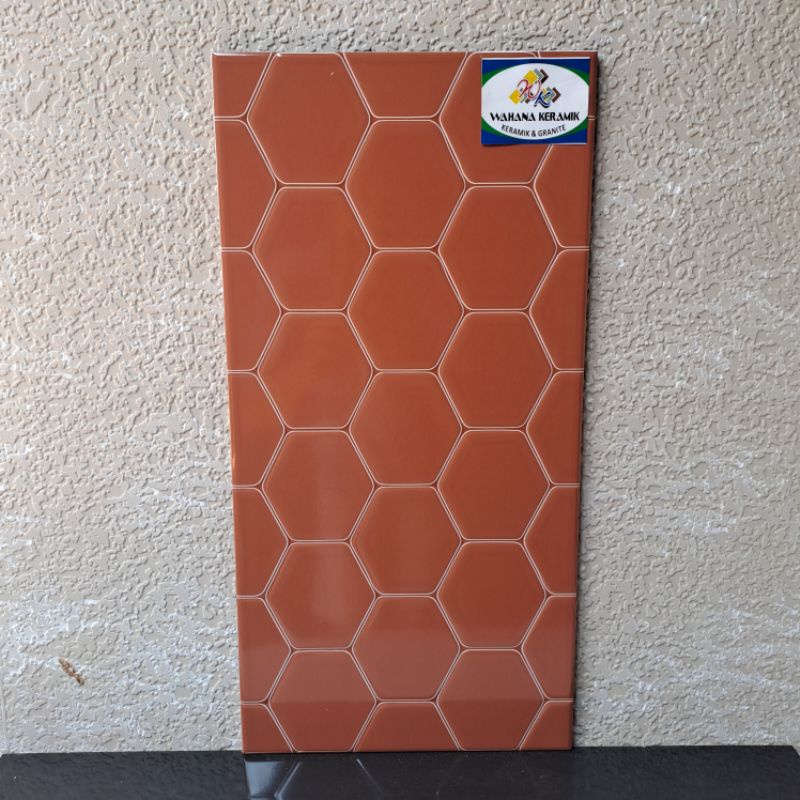 keramik dinding hexagonal / keramik dinding kamar mandi / keramik dinding dapur 25x50 ANAHEIM TERACOTA