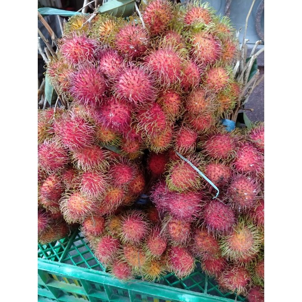 

Buah Rambutan 1 kg