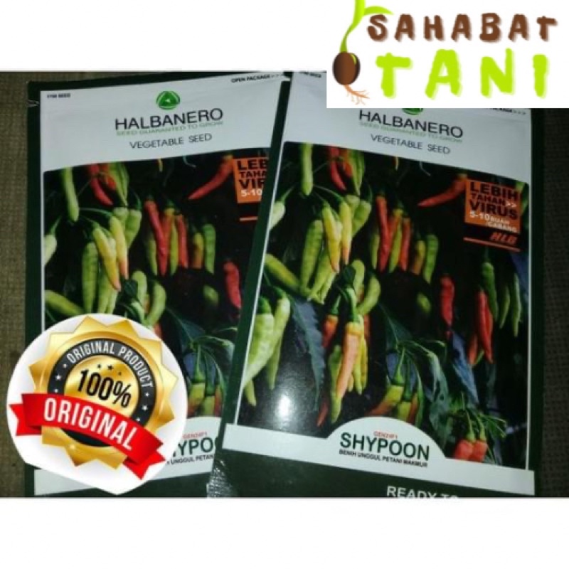Benih Cabe Shypoon F1 Repack 100 Biji Buah Lebat