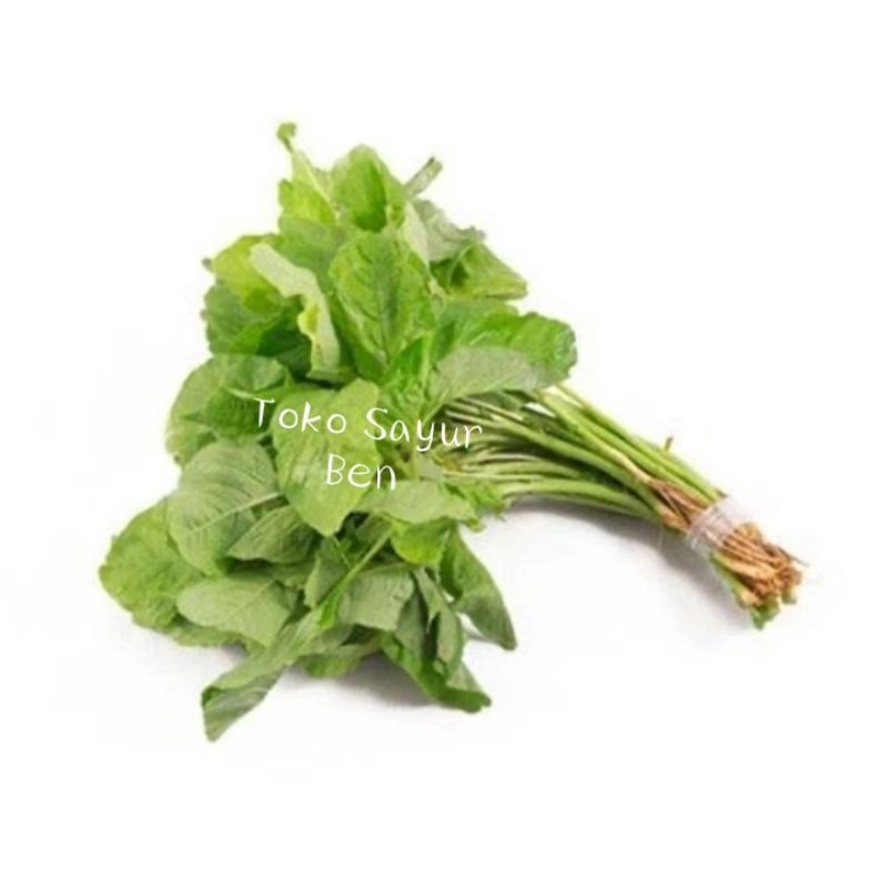 

Bayam segar