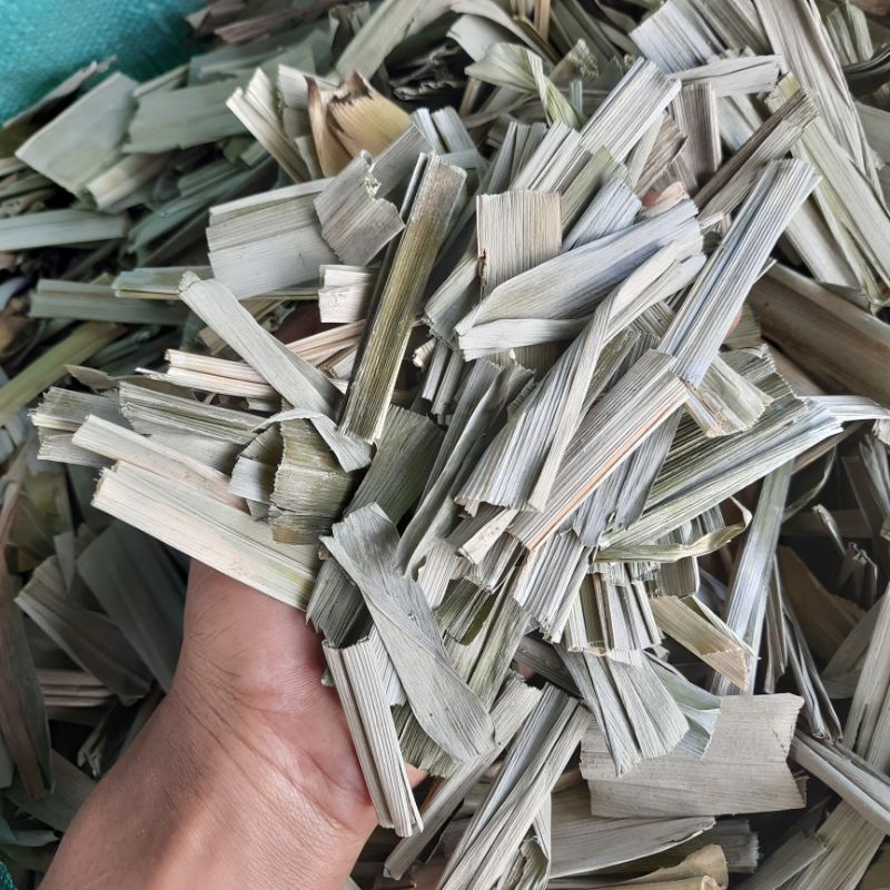 

Pandan Wangi Kering isi 50 Gram