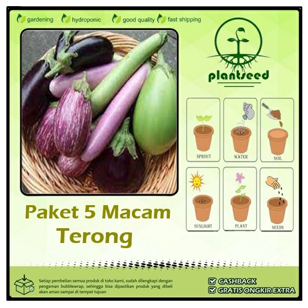Paket 5 Macam Benih Sayuran Terong F1 Hibrida Bibit Sayur  Terong Lalap Ungu Hijau Telunjuk Panjang 