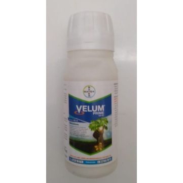Velum Prime 400 SC 100 ml/fungisida velum/velum prime bayer/velum 100ml/velum prime 100ml/velum baye