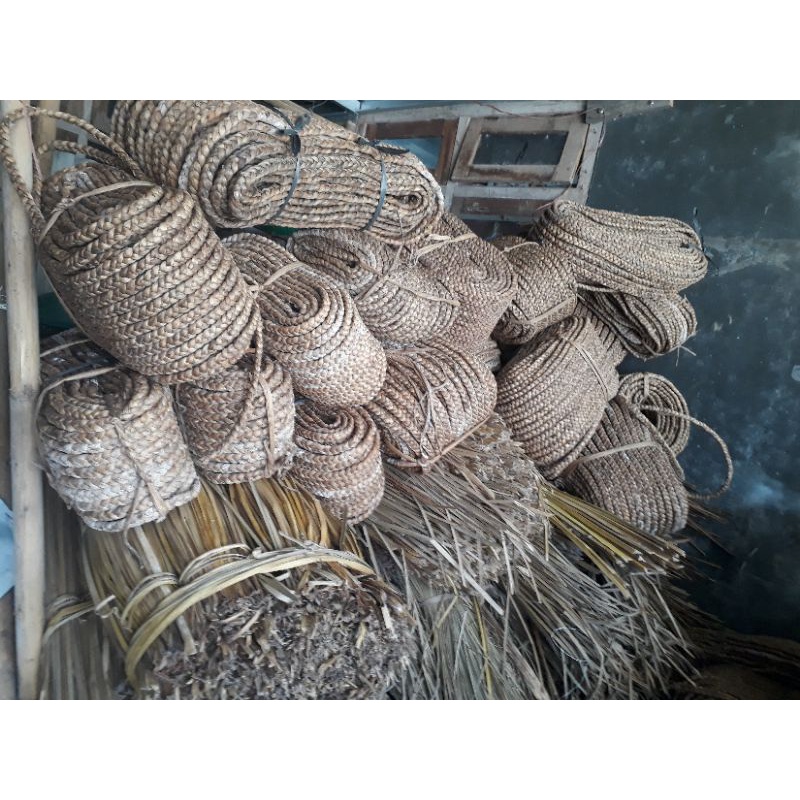 TERMURAH ENCENG GONDOK KEPANG/ECENG GONDOK KEPANG