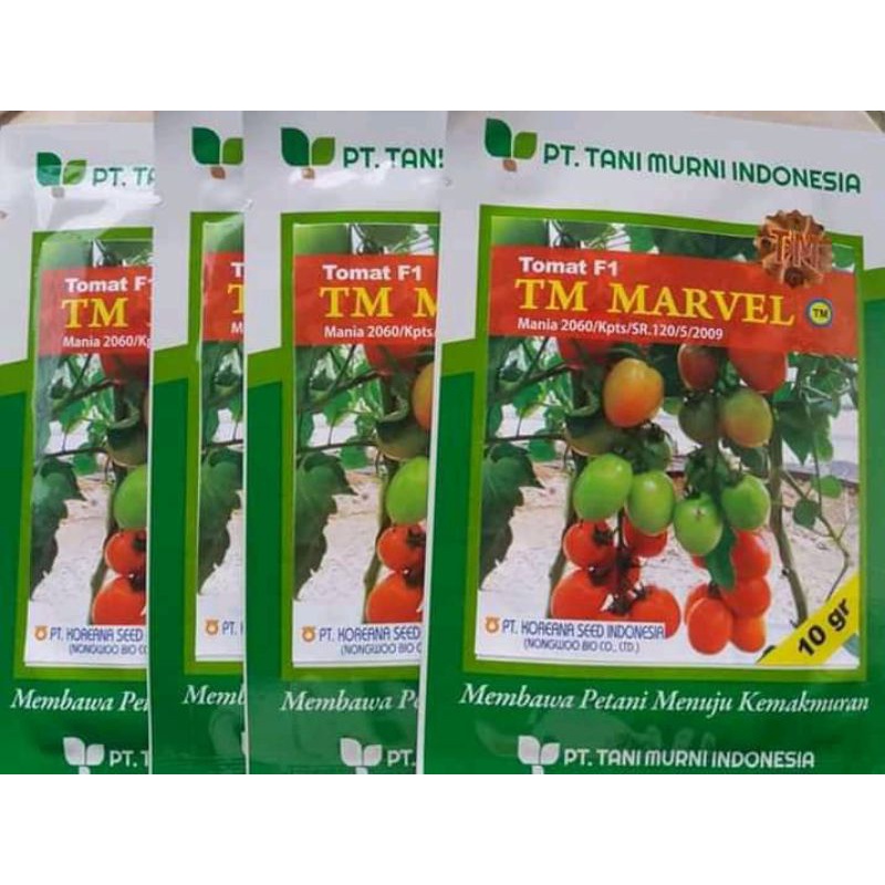 Benih Tomat TM Marvel F1 10 gram bibit tomat hibridaproduksi tani murni