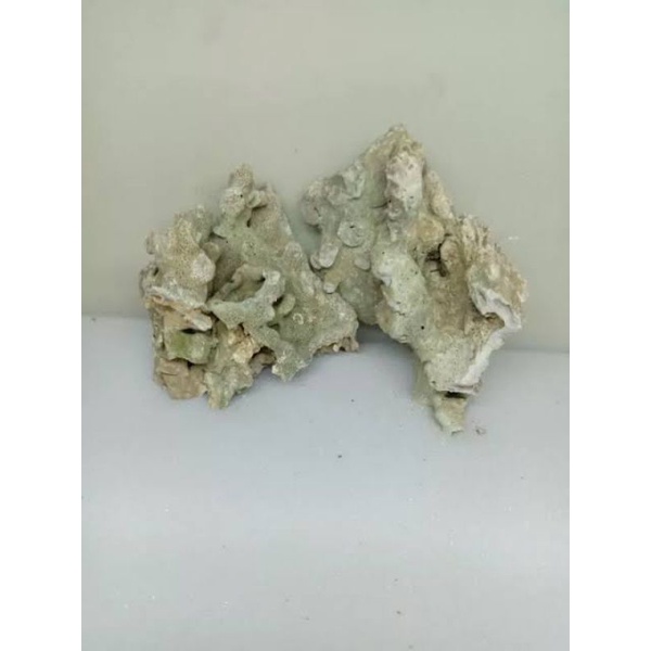 Batu karang laut Deadrock bahan scapingan