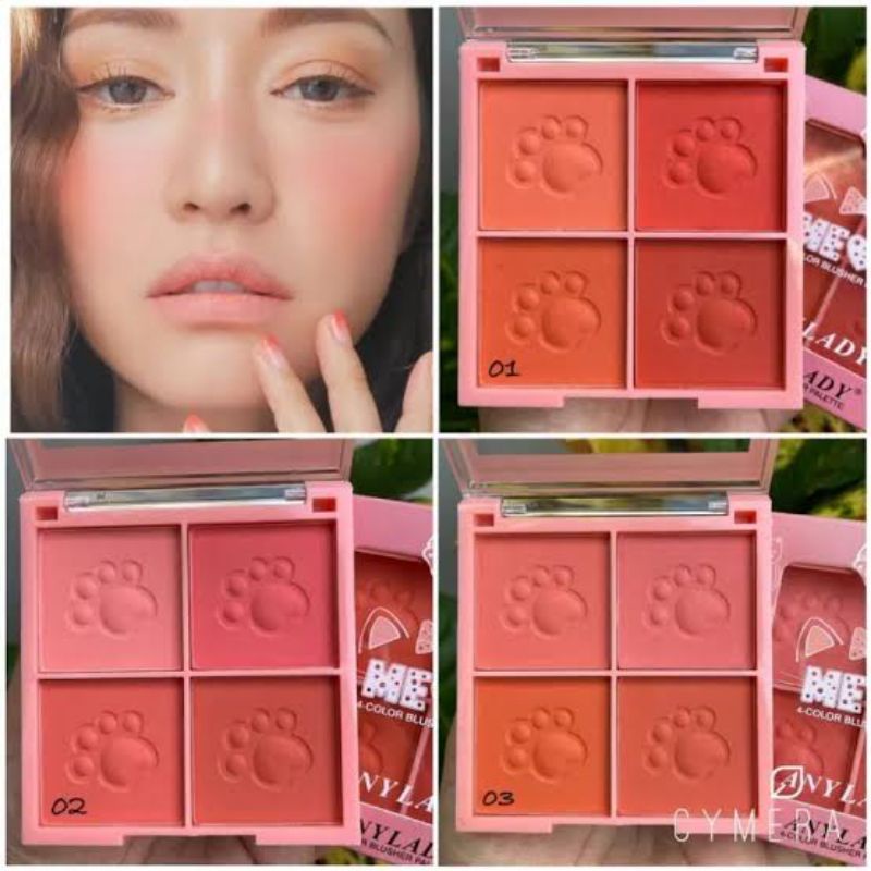 PROMO!!!BLUSH ON/BLUSHER 4 WARNA ANYLADY 813/968