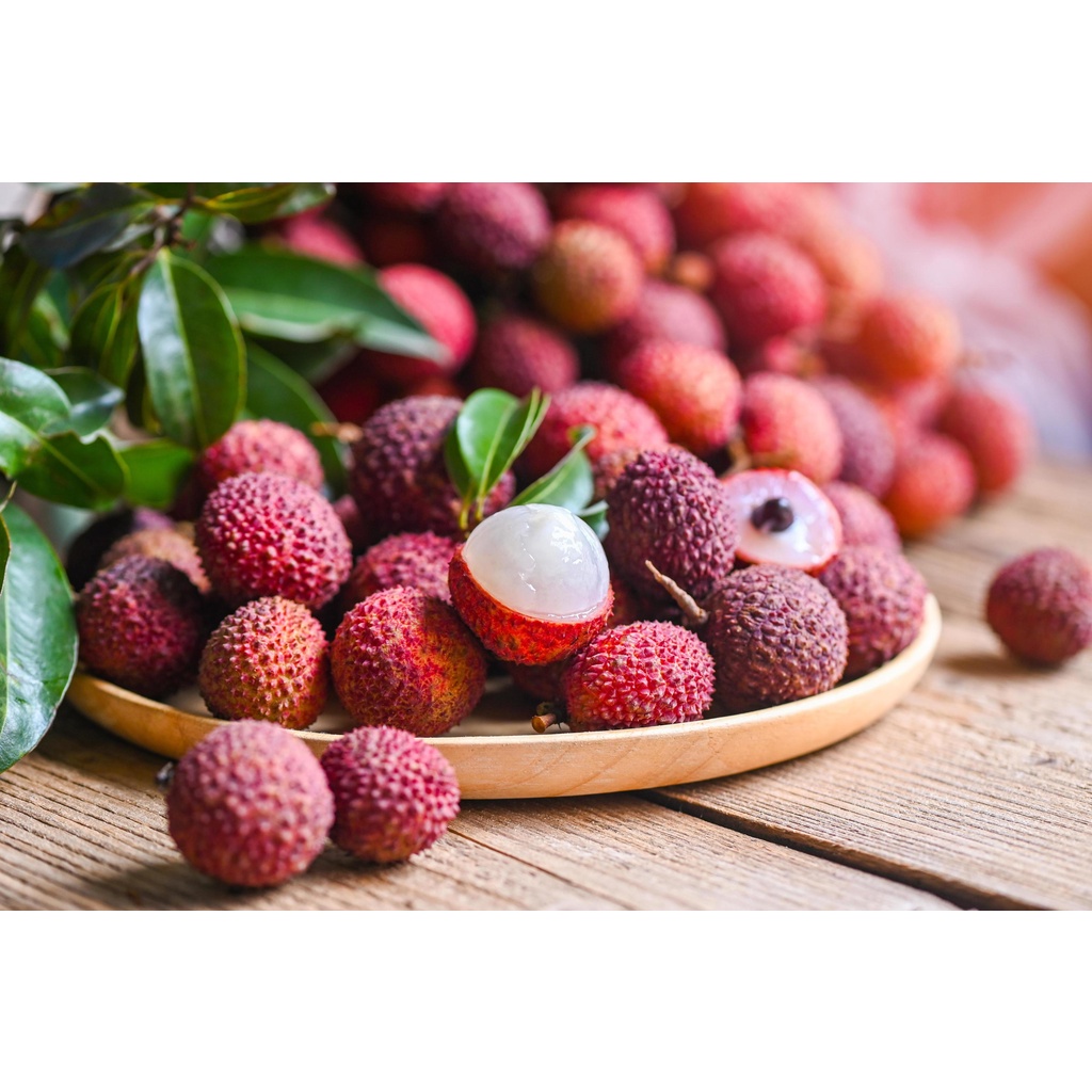 Benih Bibit Biji - Buah Leci Manis Lychee (Litchi chinensis) Fruit Seeds - IMPORT