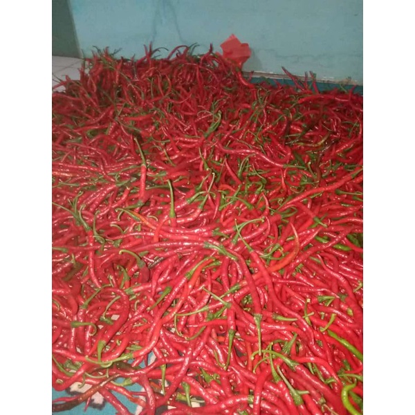 

CABE KRITING