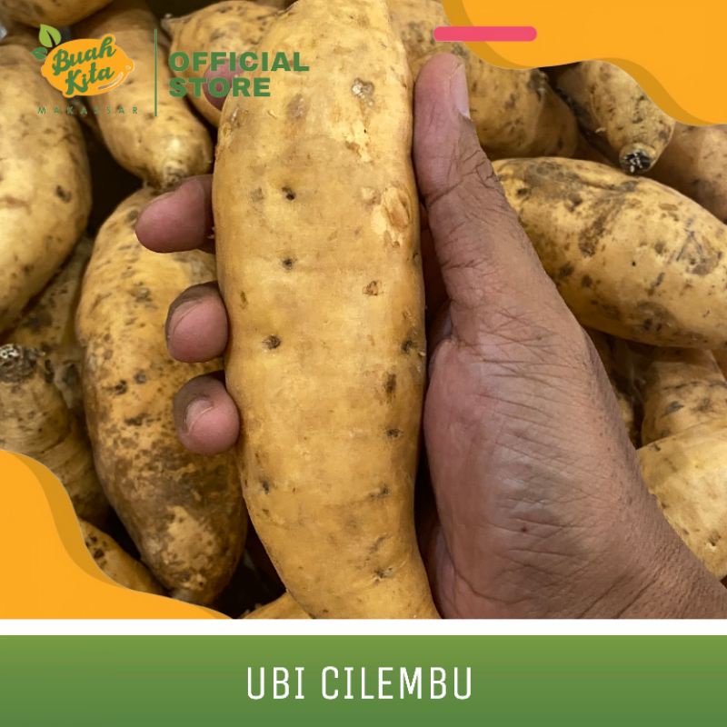

UBI MADU CILEMBU LOKAL