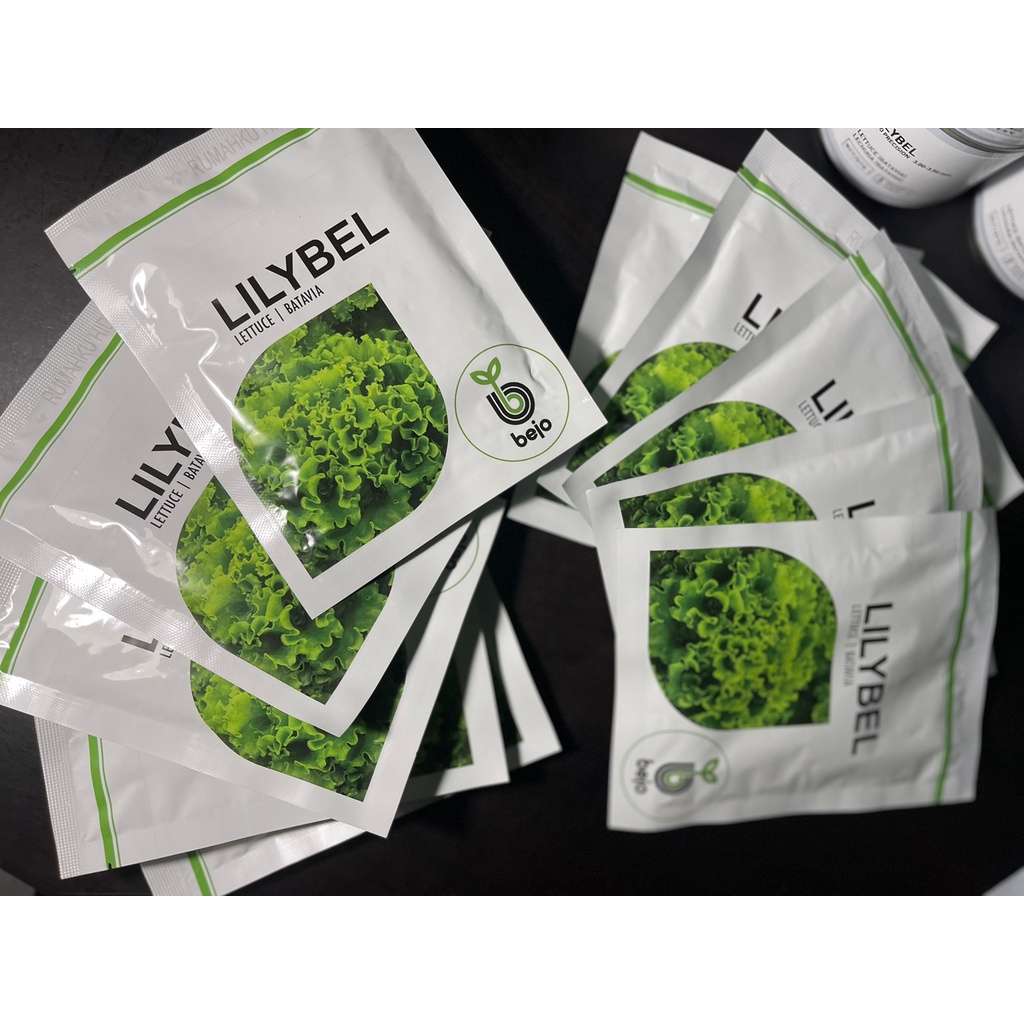 Benih Bejo Seed - Selada Batavia lilybel; kemasan 1000 seed