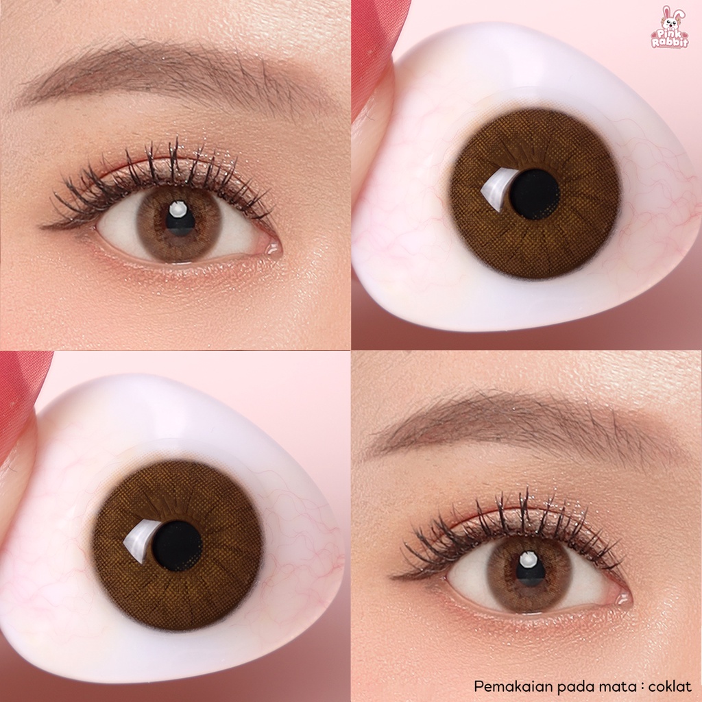 Pink Rabbit Softlens Minus Aera Brown Soflens Coklat