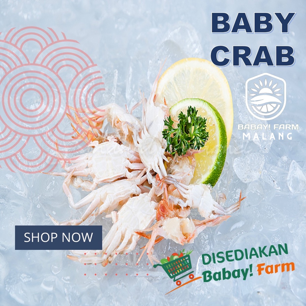 

Baby Crab / Bayi Kepiting