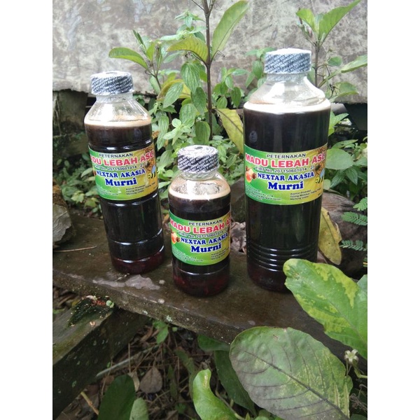 

Madu Lebah Asli Nextar Akasia Murni 330ml