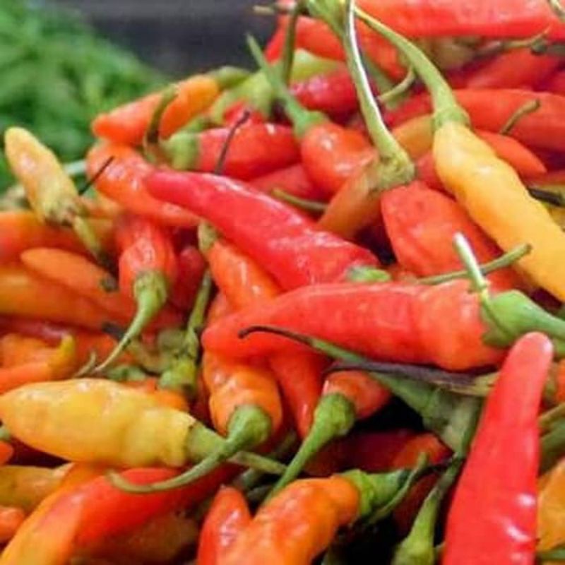

Sayuran Segar Bandung Cabai Rawit merah