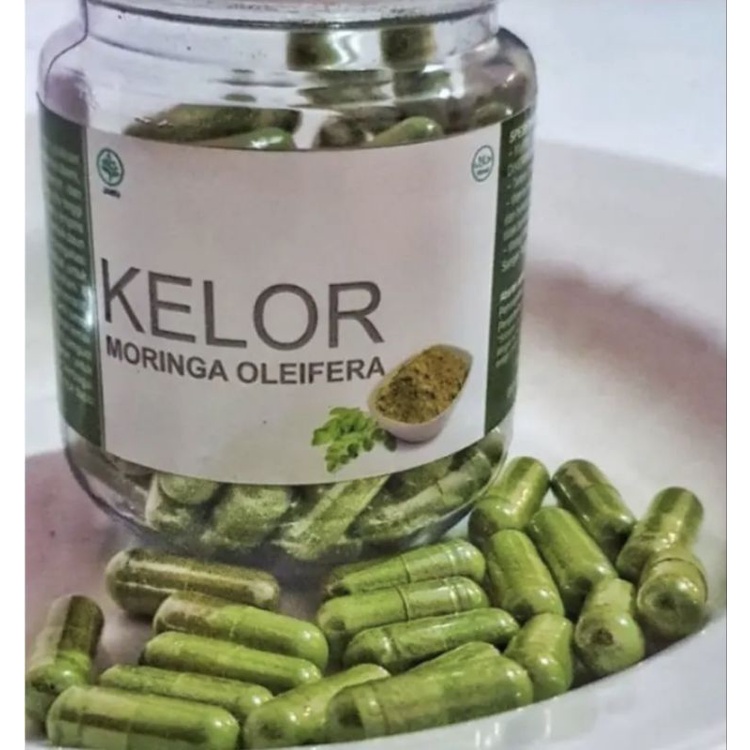 asi booster kelor moringa