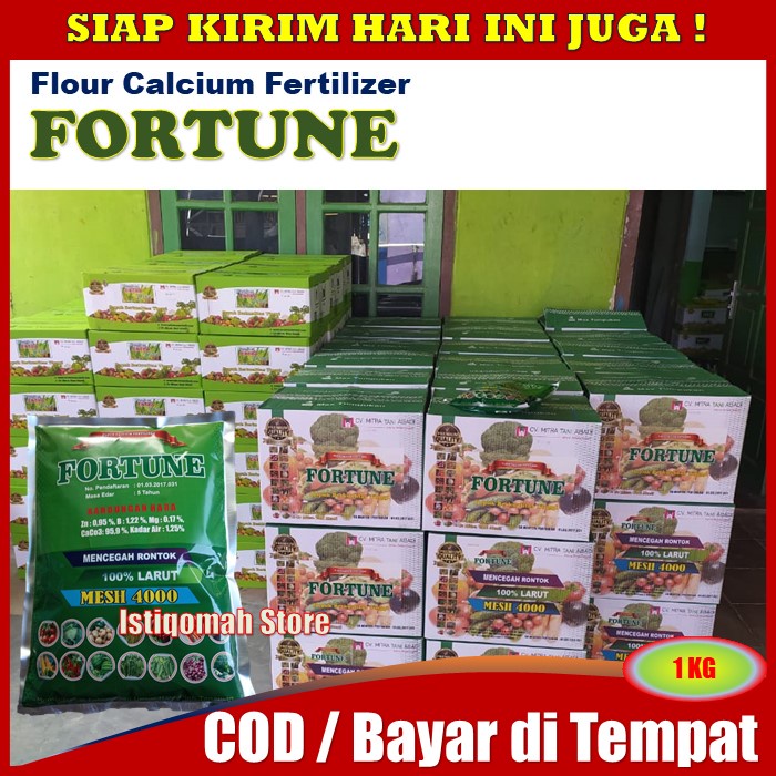 Pupuk Daun Kacang Panjang Layu Kekuningan FORTUNE 1 KG Pupuk Kalsium Bubuk untu Tanaman Kacang Panjang - Pupuk Semprot Kacang Panjang Anti Rontok Bunga dan Buah Super Lebat - Pupuk Bibit Kacang Daun Menguning Kacang Panjang Paling AMPUH