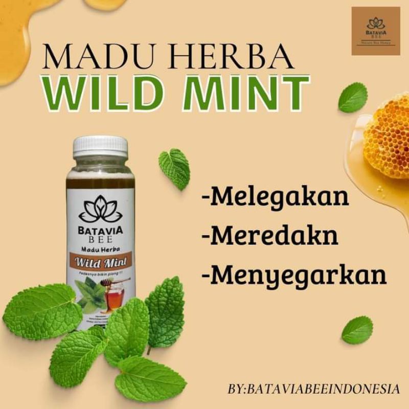 

madu WILD MINT batavia bee madu herbal untuk batuk pilek dan radang tenggorokan madu pedas manis