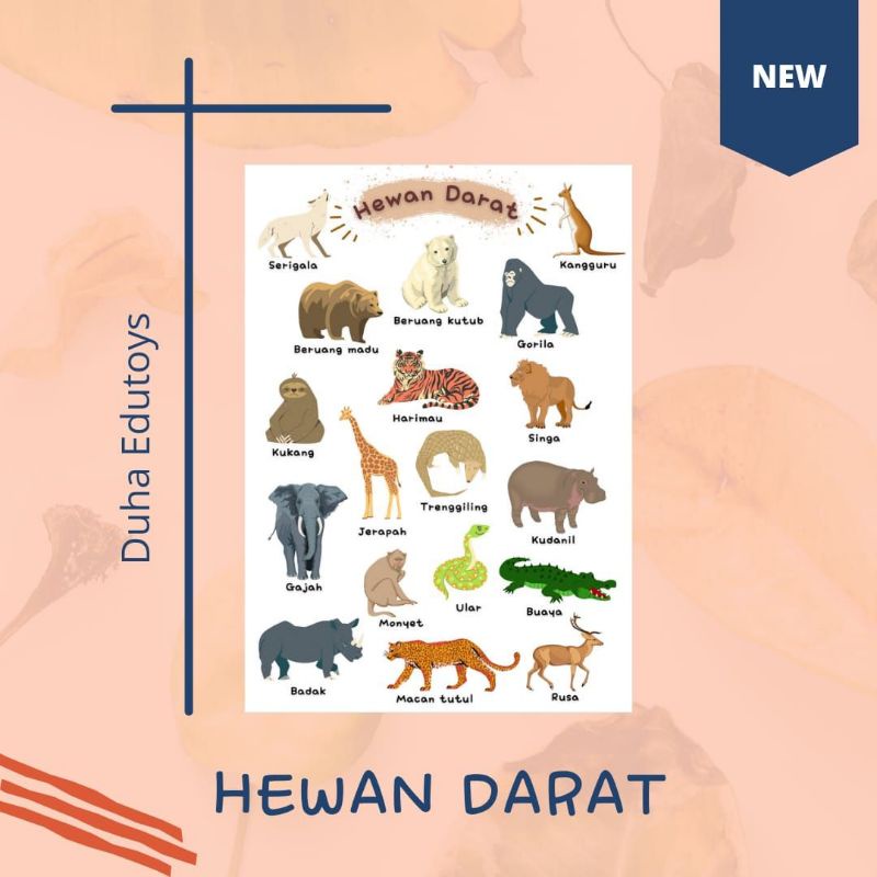 POSTER HEWAN DARAT LAUT / POSTER EDUKASI