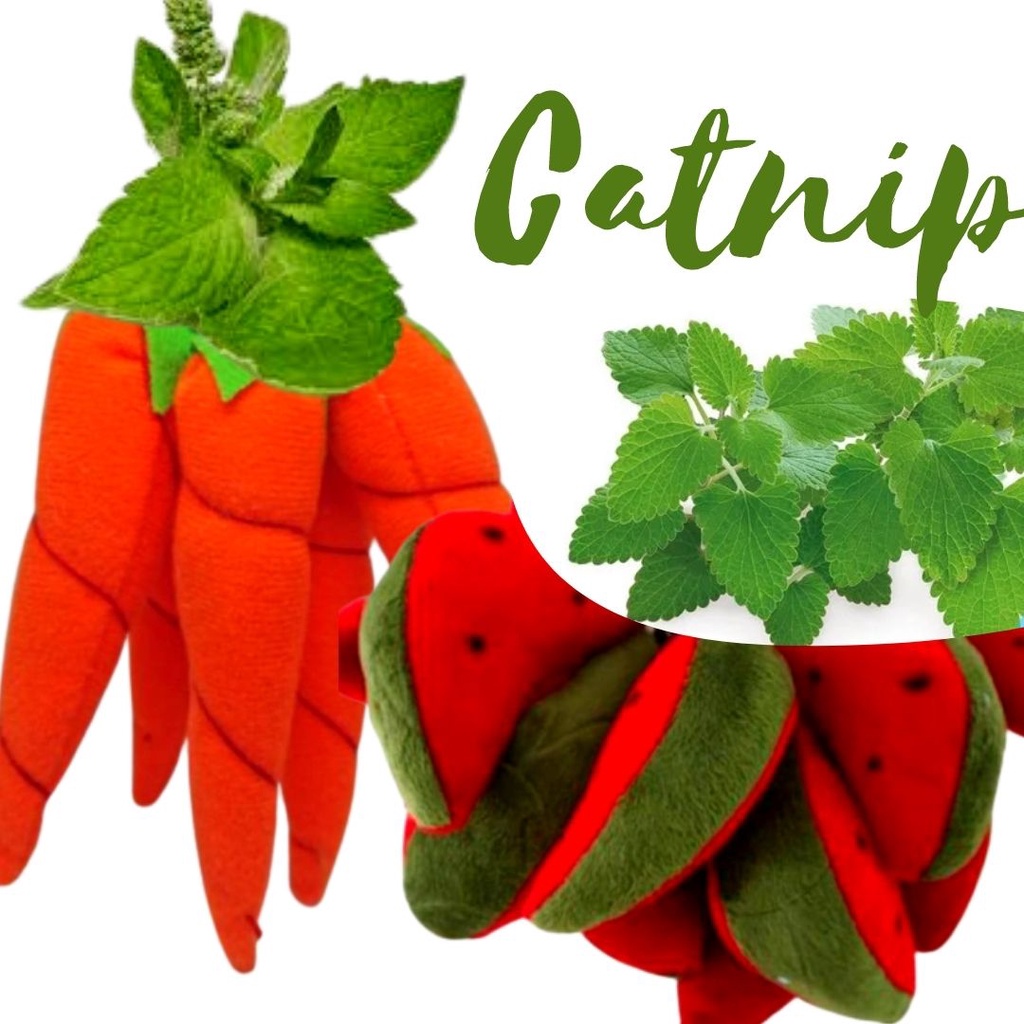 Cat Toys Catnip Mainan Gigit Anjing Peliharaan Bentuk Buahsayuran Bahan Plush Dengan Suara Mencicit FEZONE