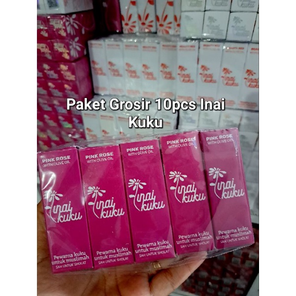 PAKET GROSIR 10PCS INAI KUKU