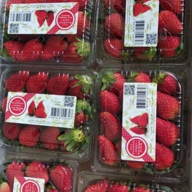 

Terjangkau Buah Strawberry Fresh Import 1Pack Heiyyaluv