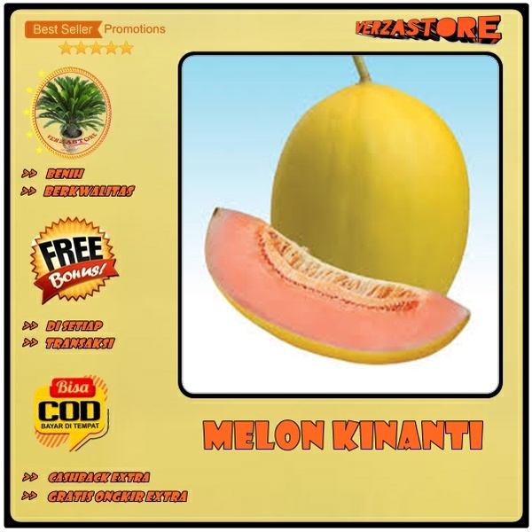 biji benih buah melon golden orange kinanti original /5 biji