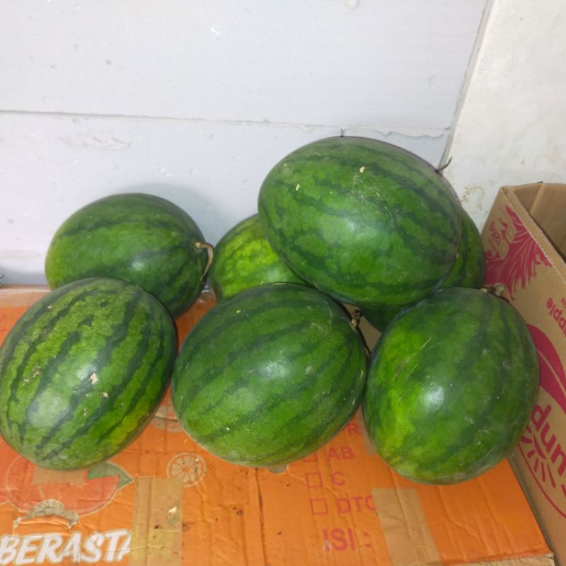 

semangka non biji 10.000 - 45.000