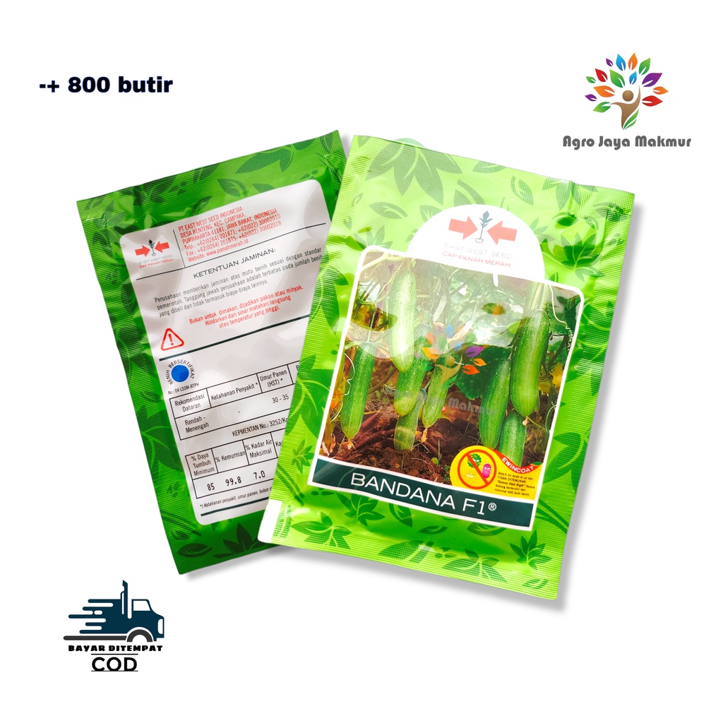 TIMUN BANDANA F1 ISI +- 800 BUTIR/BENIH BONTENG/ BIJI BONTENG/BENIH TIMUN SAYUR/MENTIMUN/BENIH SAYUR