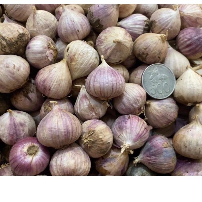 

RVN250 Bawang Putih Tunggal Ukuran Besar Fresh Import 1 KG / Bawang Putih Lanang Import 1 Kilogram #