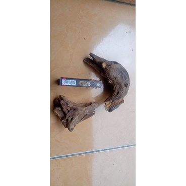 kayu fosil untuk aquascape